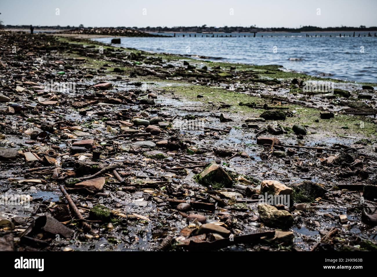Les ordures et les os d'époque couvraient la plage de Dead Horse Bay à long Island Banque D'Images