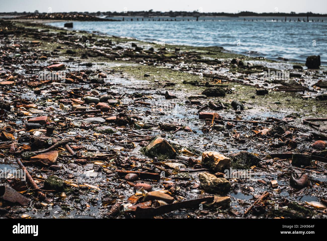 Les ordures et les os d'époque couvraient la plage de Dead Horse Bay à long Island Banque D'Images