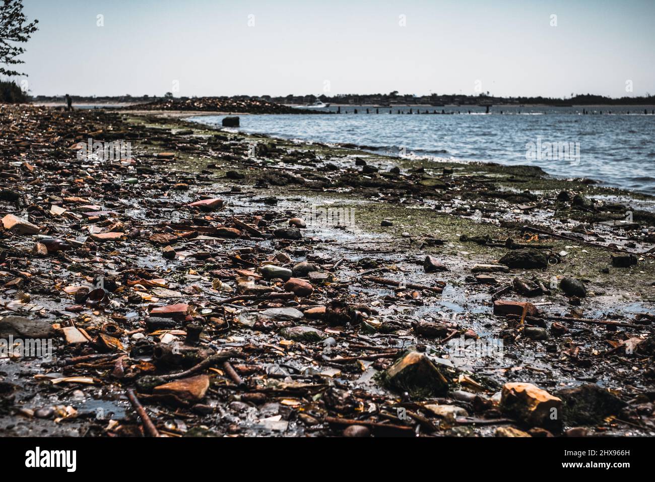 Les ordures et les os d'époque couvraient la plage de Dead Horse Bay à long Island Banque D'Images