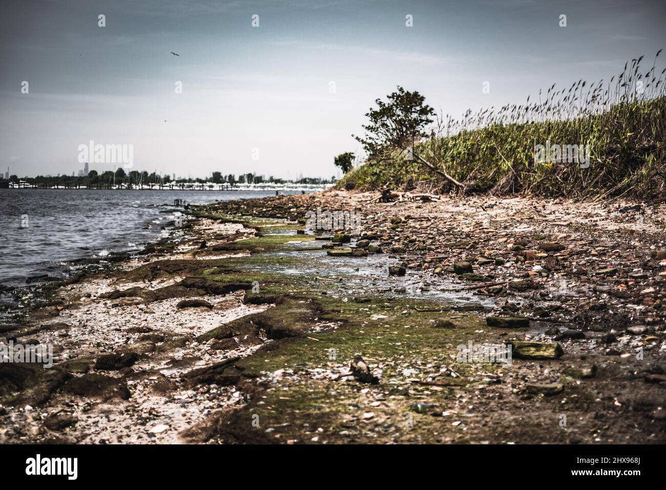 Les ordures et les os d'époque couvraient la plage de Dead Horse Bay à long Island Banque D'Images