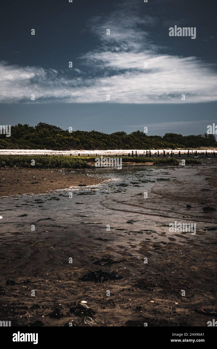 Les ordures et les os d'époque couvraient la plage de Dead Horse Bay à New York Banque D'Images