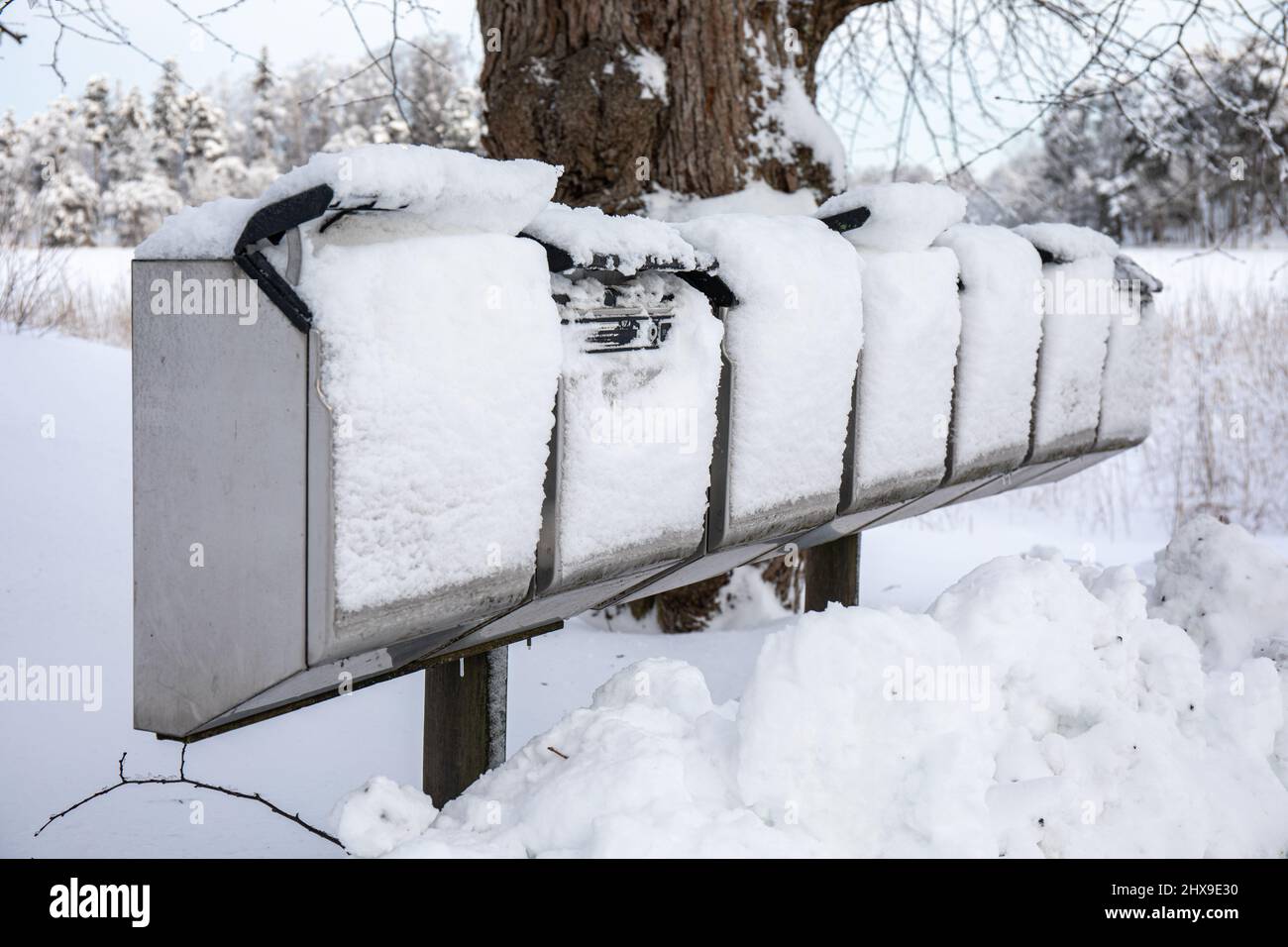 Des boîtes aux lettres recouvertes de neige après de fortes chutes de neige à Helsinki, en Finlande Banque D'Images