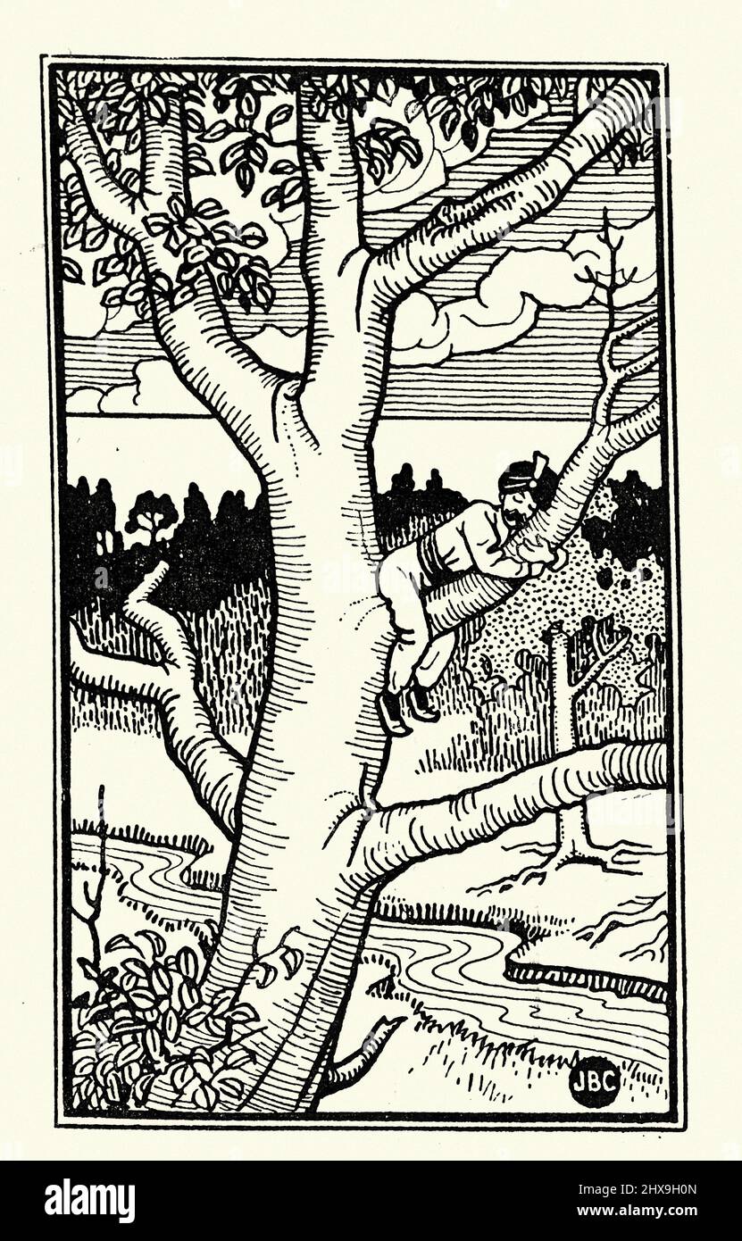 Illustration vintage du troisième voyage de Sinbad le Sailor, dormir dans un arbre. Joseph Benwell Clark Banque D'Images