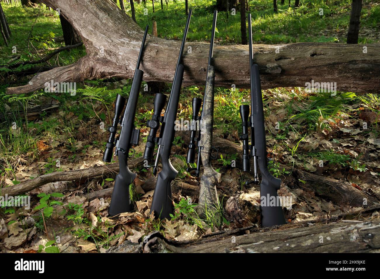 Quatre fusils de chasse avec optique de portée penchée contre un arbre tombé Banque D'Images