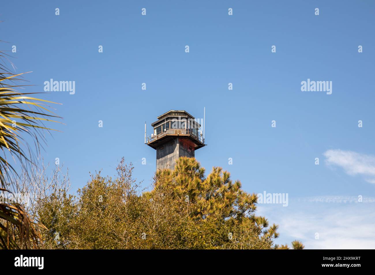 Lampe sur le sommet des arbres du phare de Sullivans Island, Caroline du Sud. Banque D'Images