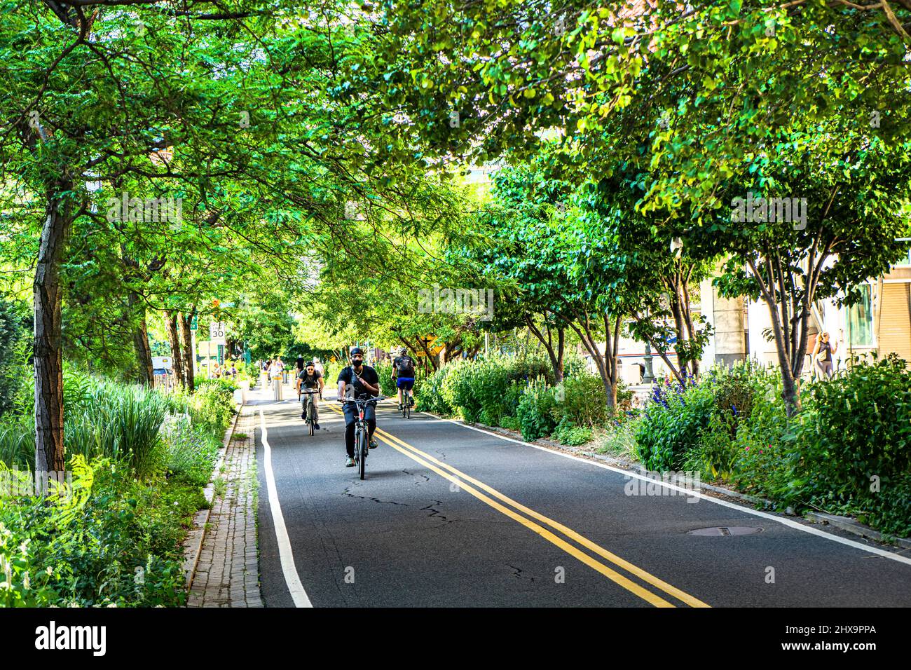 West Side Bicycle Lanes, New York City, New York, États-Unis Banque D'Images