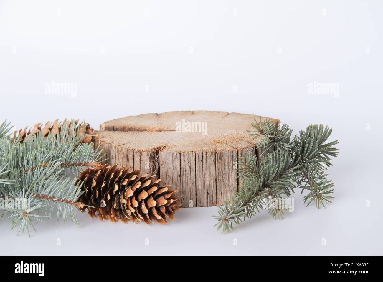 Support en bois pour les marchandises. Maquette debout. Carte du nouvel an pour la publicité. Modèle de publicité de souche d'arbre. Une tranche de bois et de cônes et de branches d'épinette. Banque D'Images