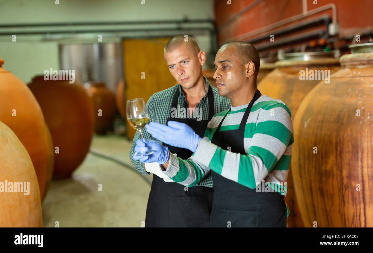 Deux vignerons inspectant la qualité du vin blanc à la cave Banque D'Images