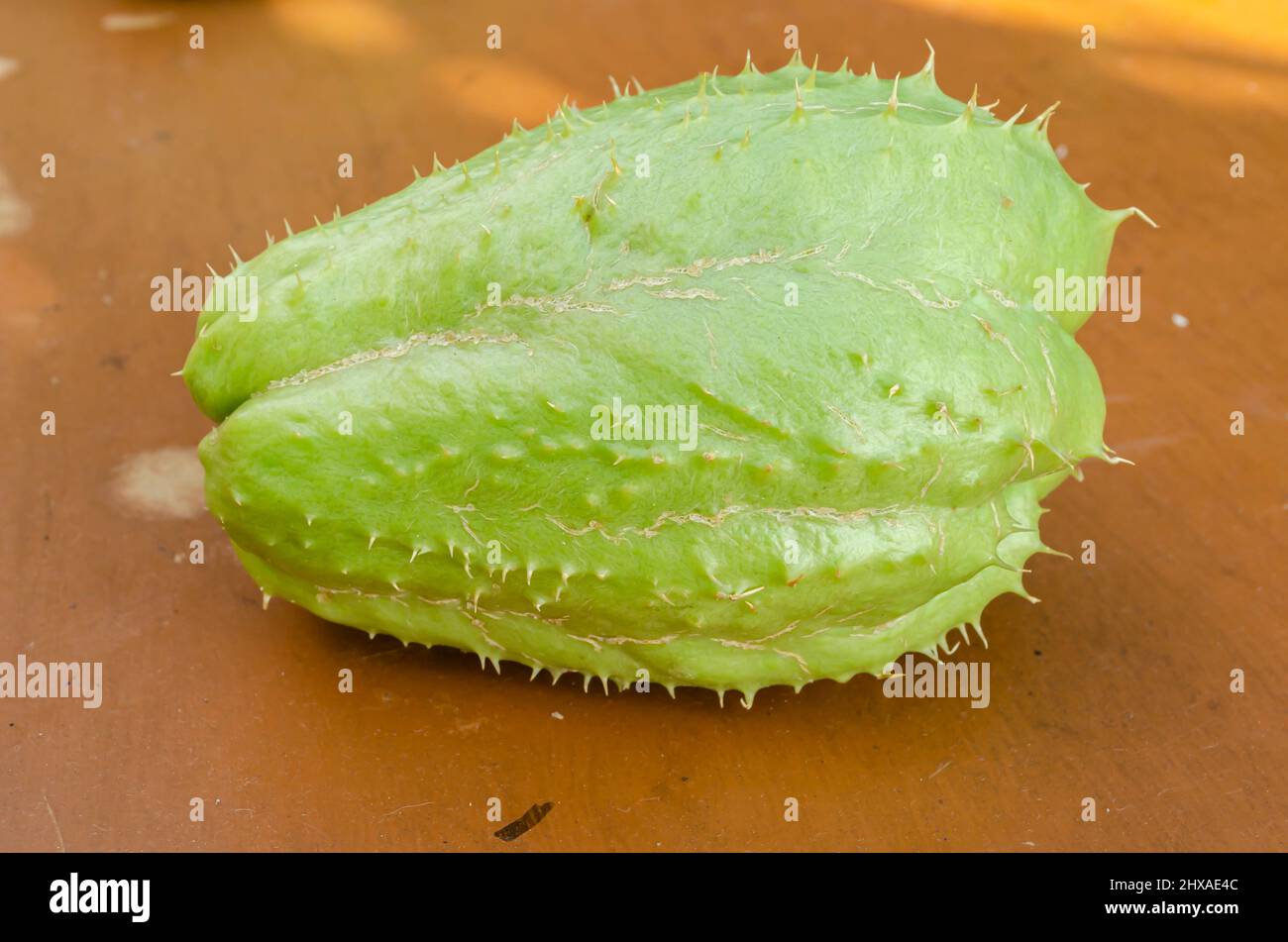 Christophine chayote plant fruits Banque de photographies et d’images à — free download