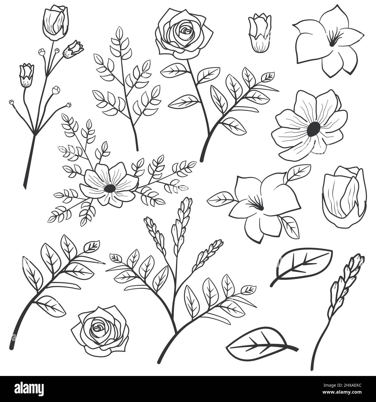 Rose Cosmos Hibiscus feuille fleur Silhouette élément de ligne Illustration de Vecteur