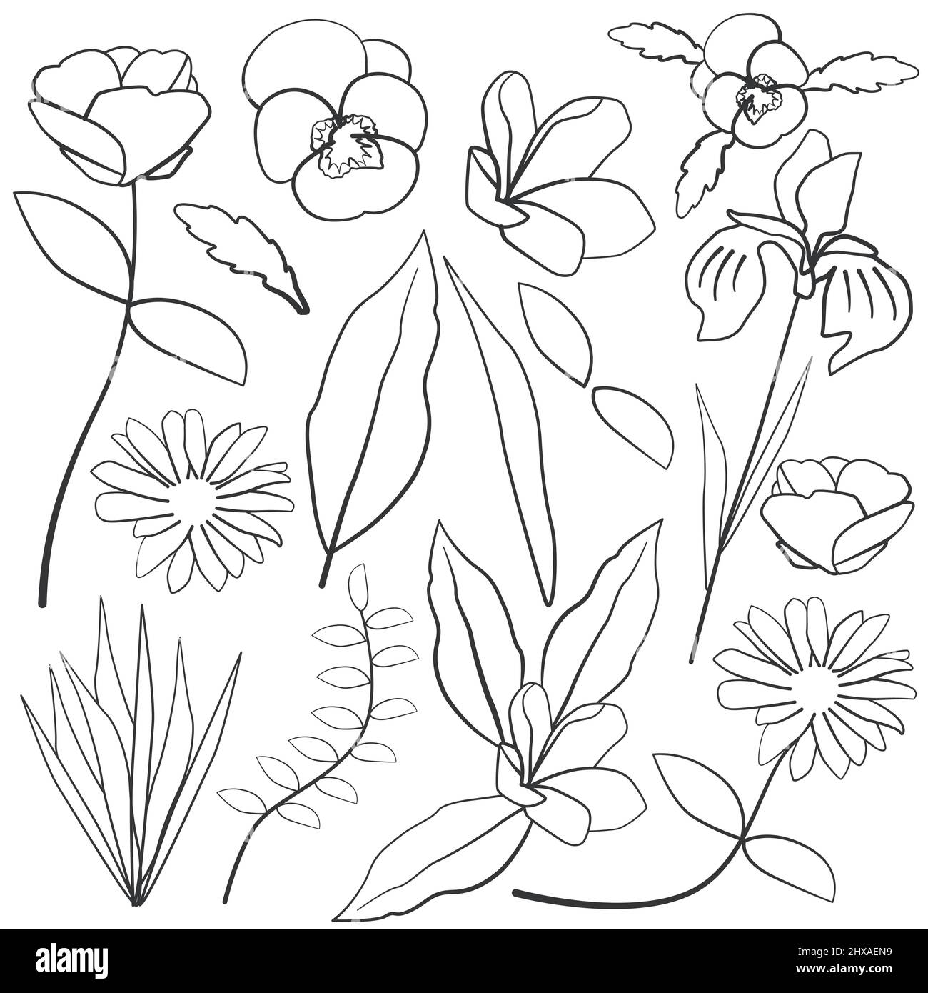 Pansy Iris Plumeria Daisy Leaf Flower Silhouette Outline élément de ligne Illustration de Vecteur