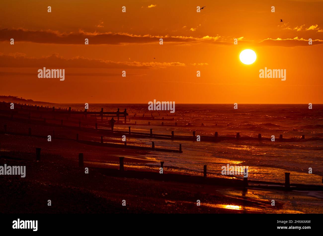 Rustington Beach, Royaume-Uni, 11th mars 2022. Le soleil se lève lorsqu'un chien promenant se promène le long de la plage de Rustington, dans le West Sussex. Crédit : Steven Paston/Alay Live News Banque D'Images