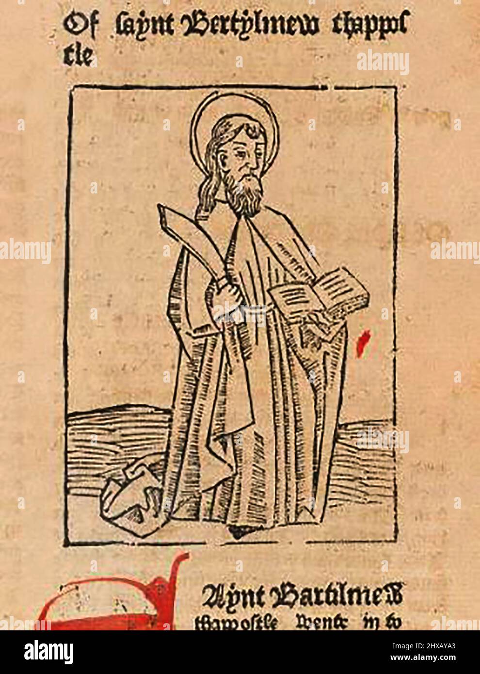 Coupe de bois du 15th siècle montrant Saint Bartholomew l'Apôtre tel qu'imprimé par William Caxton ( 1422-1491/92) dans sa traduction de 'la Légende d'Or' ou 'donc endeth la legende nommée dans Lattin legenda aurea qui est à saye en Englyshe la legende dorée' par Jacobus, de Voragine, (Circa 1229-1298). Banque D'Images