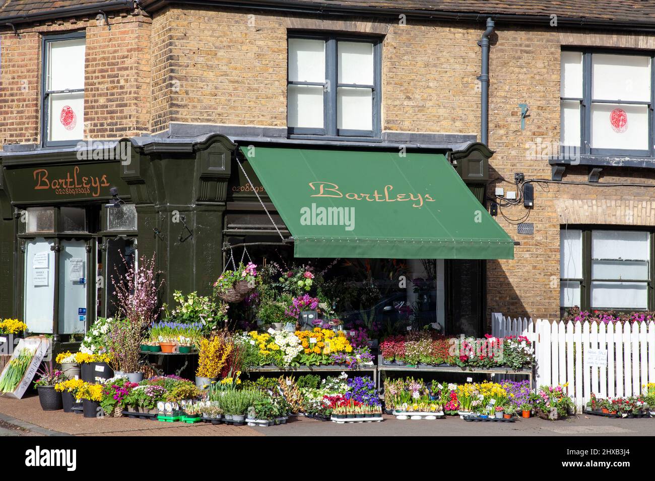 Fleuriste sur Dulwich Village Rd, Londres, Royaume-Uni Banque D'Images