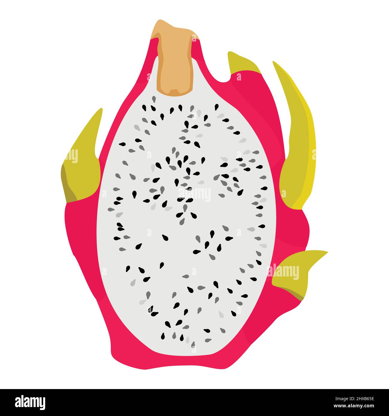 Délicieux fruit de dragon pitahaya coupé en tranches, isolé sur fond blanc. Vecteur Illustration de Vecteur