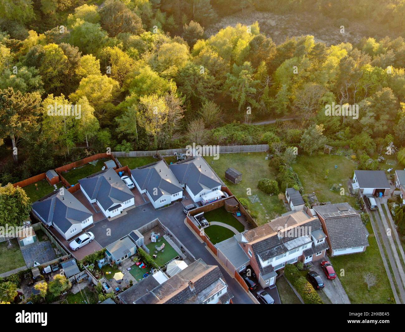 Quatre nouveaux bungalows construits sur le bord d'une zone boisée Banque D'Images