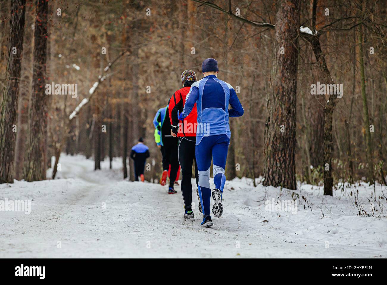 les athlètes des coureurs de groupe courent le sentier d'hiver dans la forêt Banque D'Images