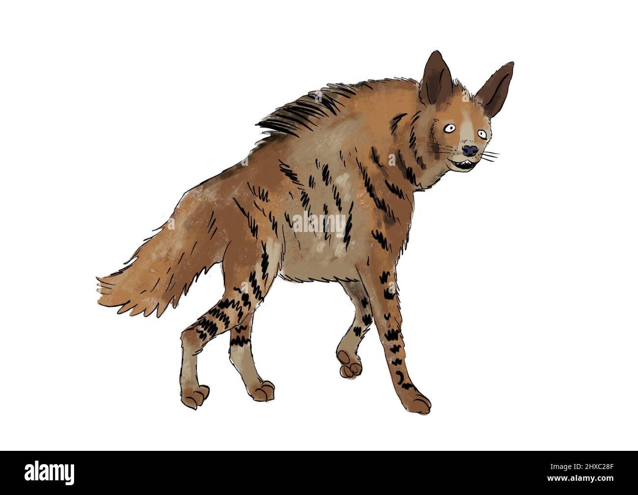 illustration de personnage hyena dessinée à la main Banque D'Images