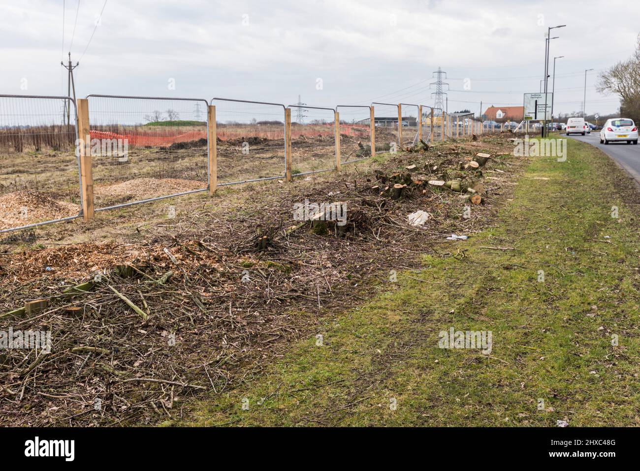 Arbres et haies broyés pour le développement de logements à Stockton sur Tees, Angleterre, Royaume-Uni Banque D'Images