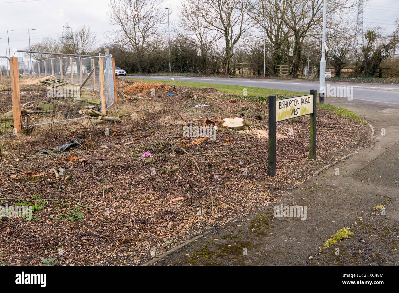 Arbres et haies broyés pour le développement de logements à Stockton sur Tees, Angleterre, Royaume-Uni Banque D'Images