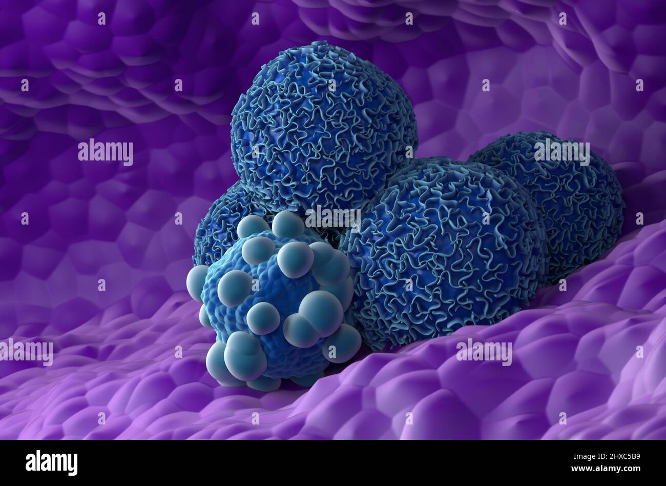 Cellules cancéreuses pancréatiques - vue rapprochée 3D illustration Banque D'Images
