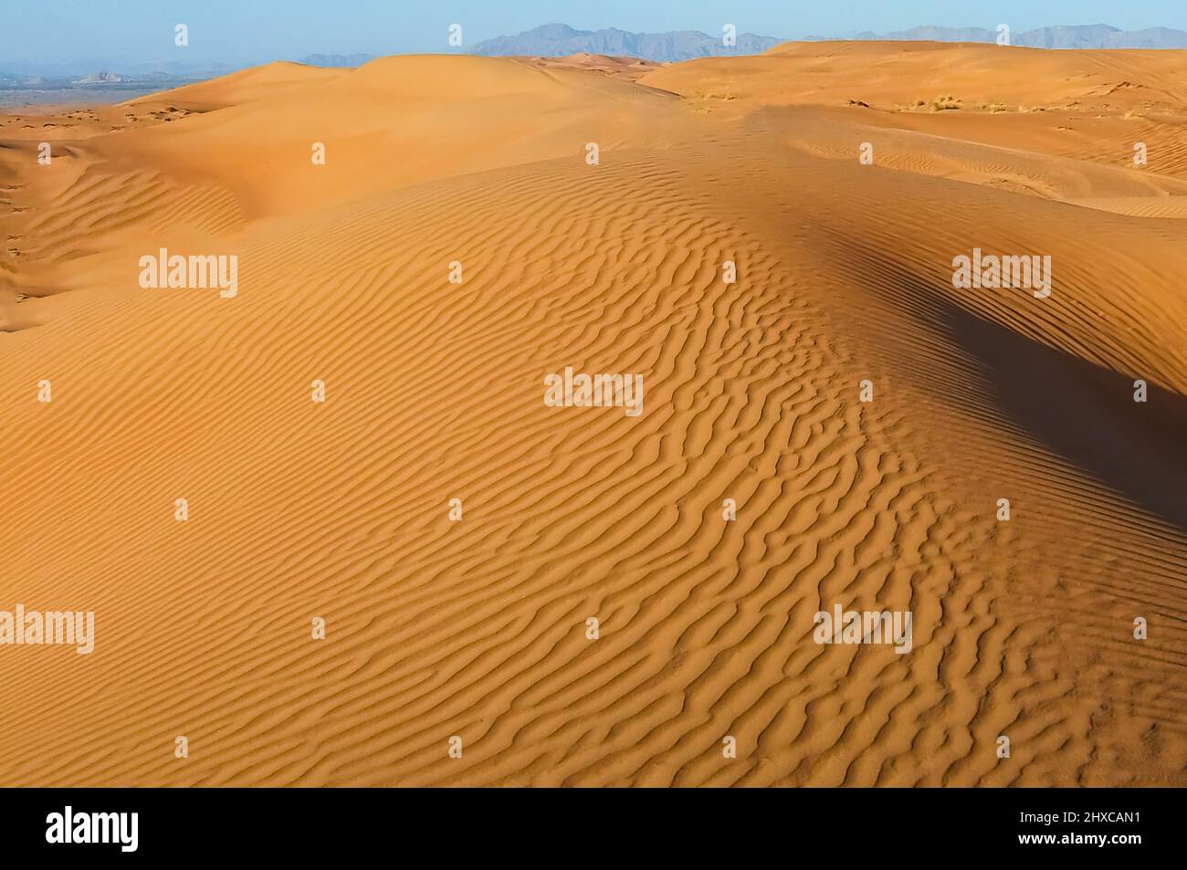 Dunes de sable dans le désert du Sahara Banque D'Images