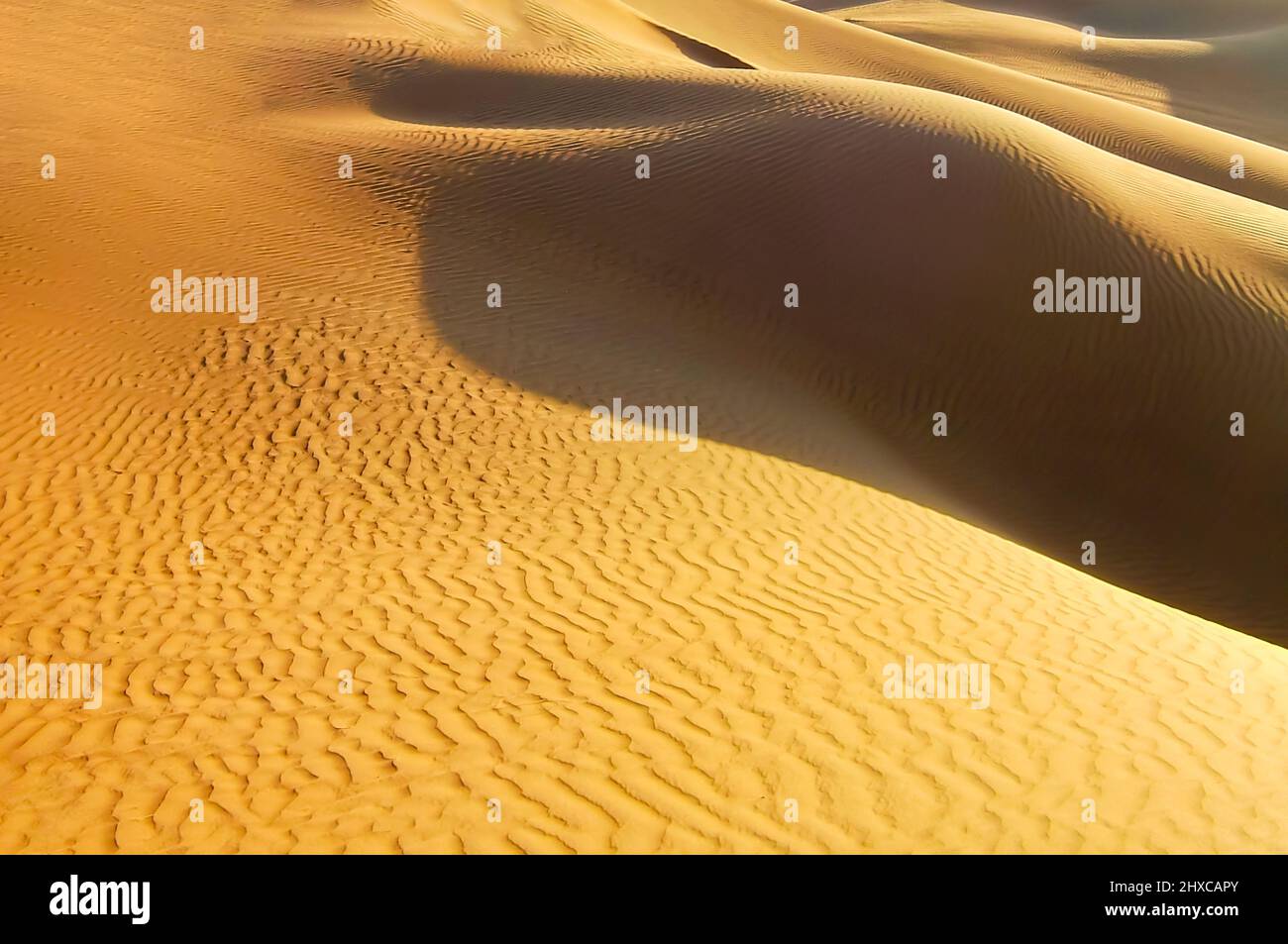Dunes de sable dans le désert du Sahara nord Banque D'Images
