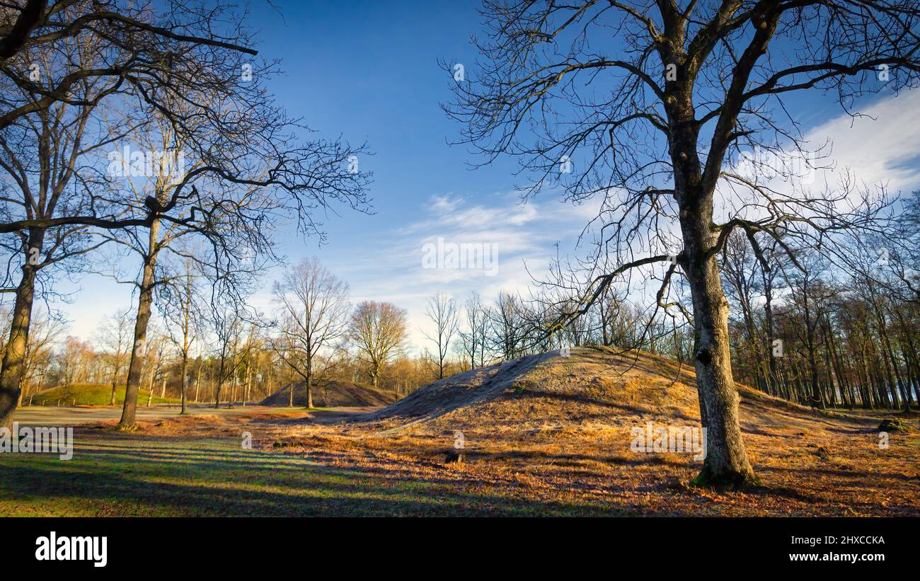 Une vue matinale à travers une forêt aux monticules vikings près de Tonsberg, en Norvège. Banque D'Images