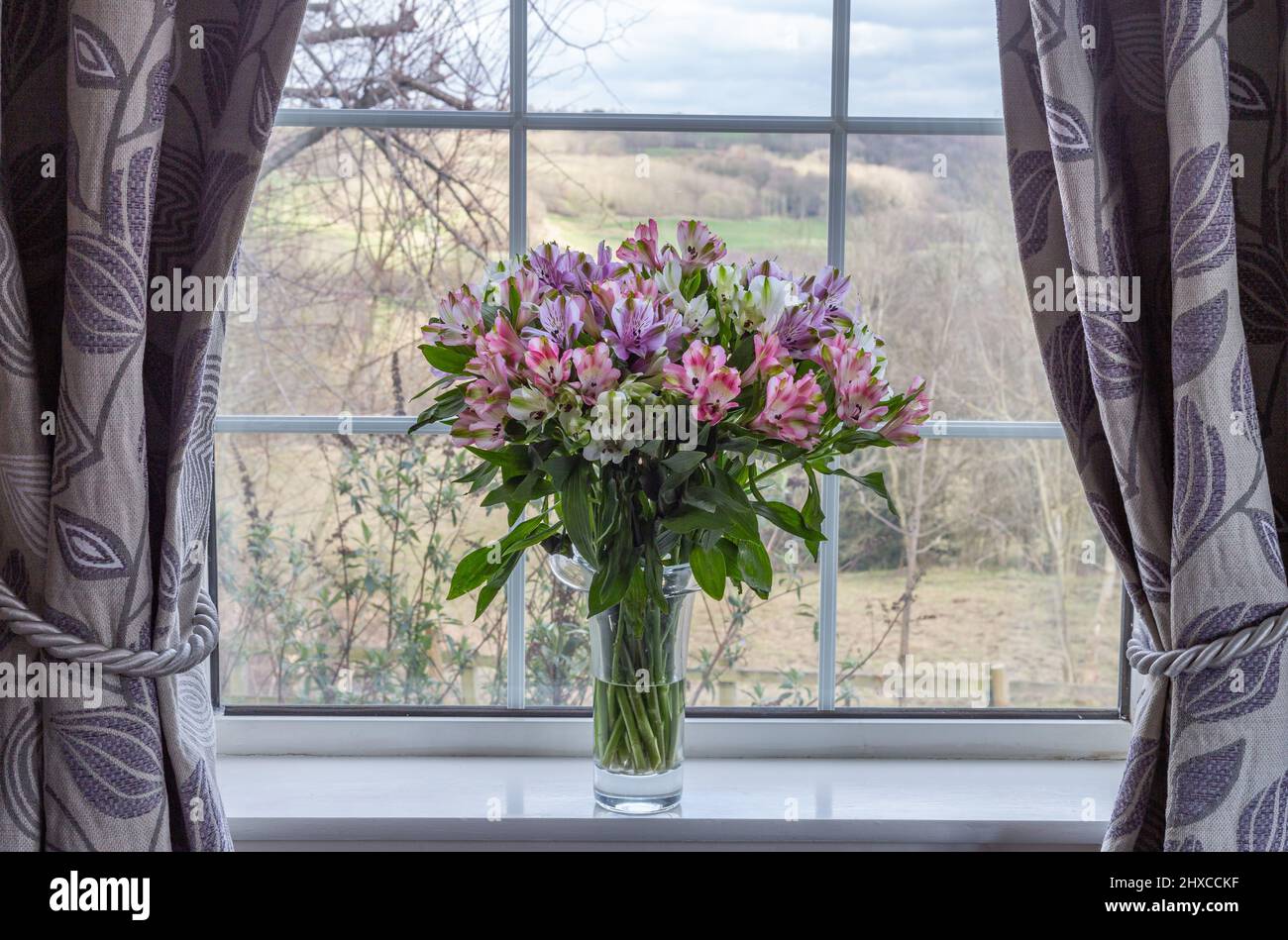 Un grand vase d'alstroemerias sur un seuil de fenêtre. Il y a des vues longues et distantes dans la fenêtre. Banque D'Images