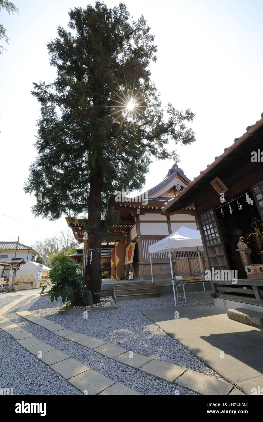Musashidai Rokuten Shrine Saitama , Japon 1752 Oto, Iwatsukiku, Saitama 339-0014 Préfecture Saitama 武蔵第六天神社 Banque D'Images