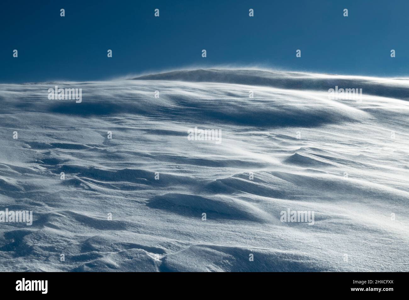 Le vent souffle des cristaux de neige sur la couverture de neige Banque D'Images