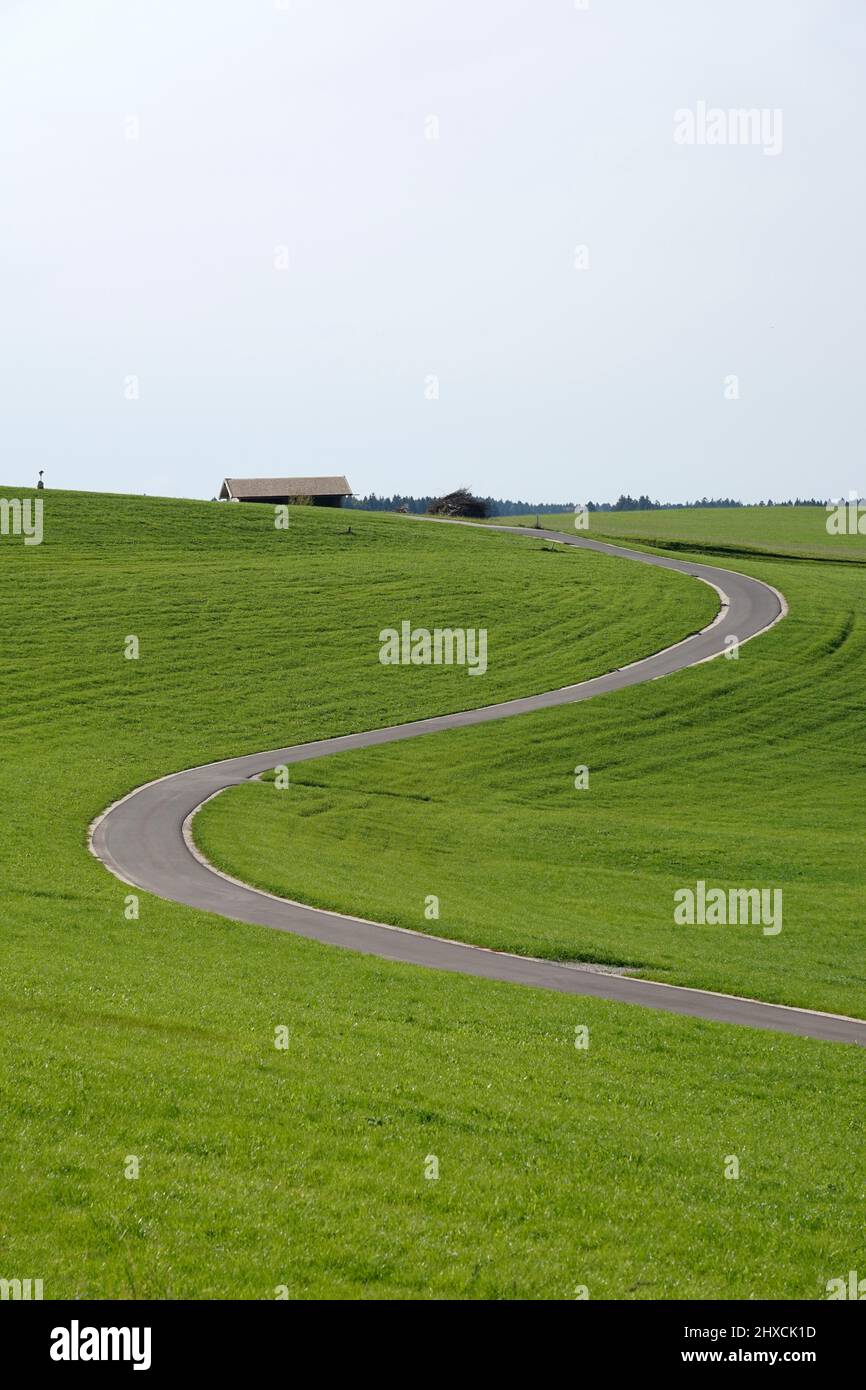 Allemagne, Bavière, haute-Bavière, Comté de Traunstein, agriculture, prairie avec étroite route de campagne sinueuse Banque D'Images