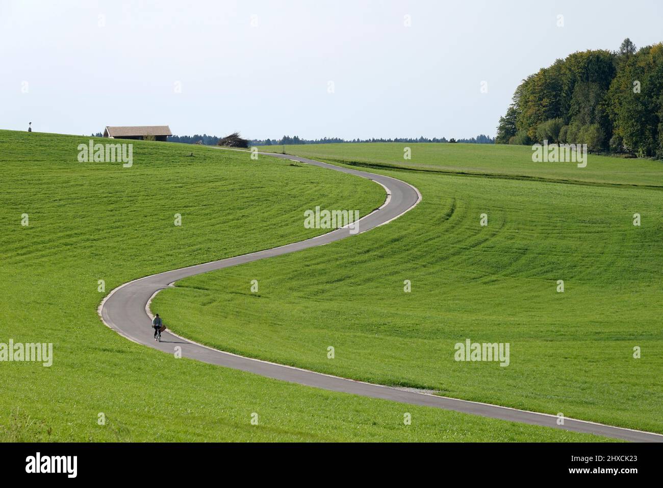 Allemagne, Bavière, haute-Bavière, Comté de Traunstein, agriculture, prairie avec étroite route de campagne sinueuse Banque D'Images