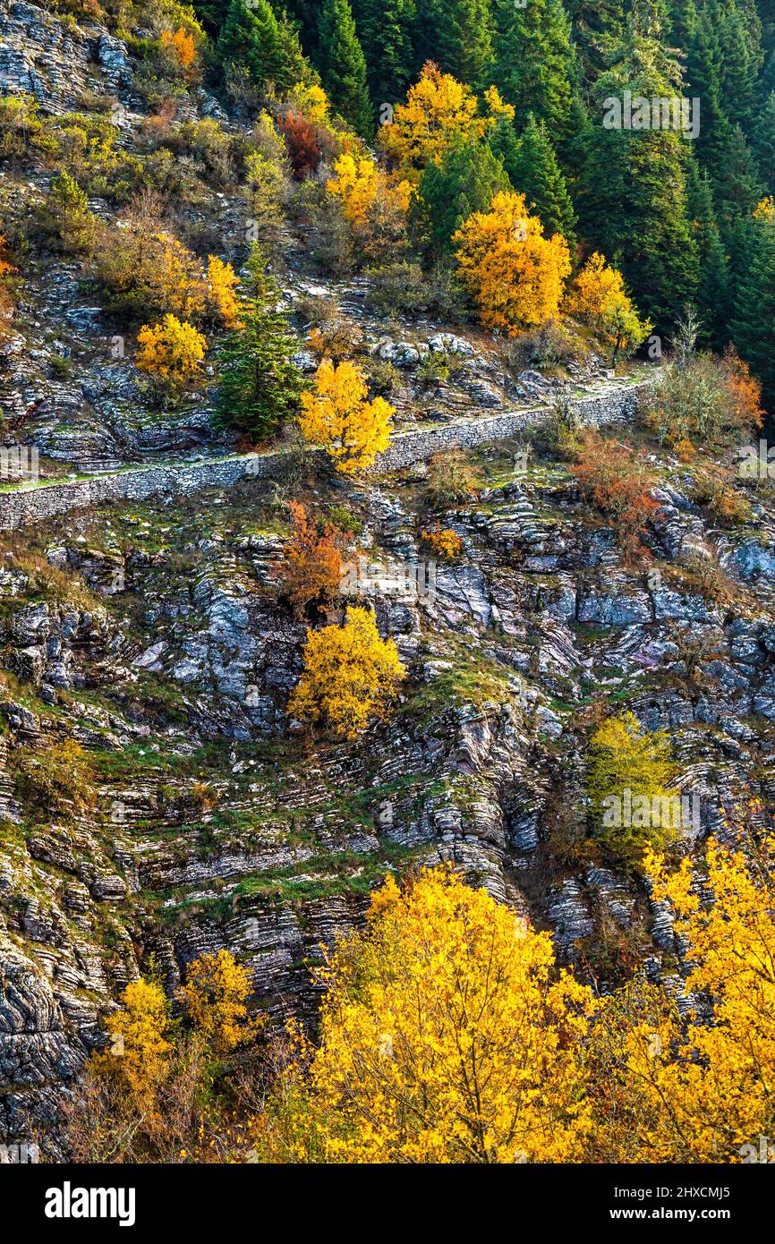 Paysage enchanteur d'Aspropotamos juste à côté d'une 'Vlachostrata' (chemin des Vlachs), Trikala, Thessalie, Grèce. Banque D'Images