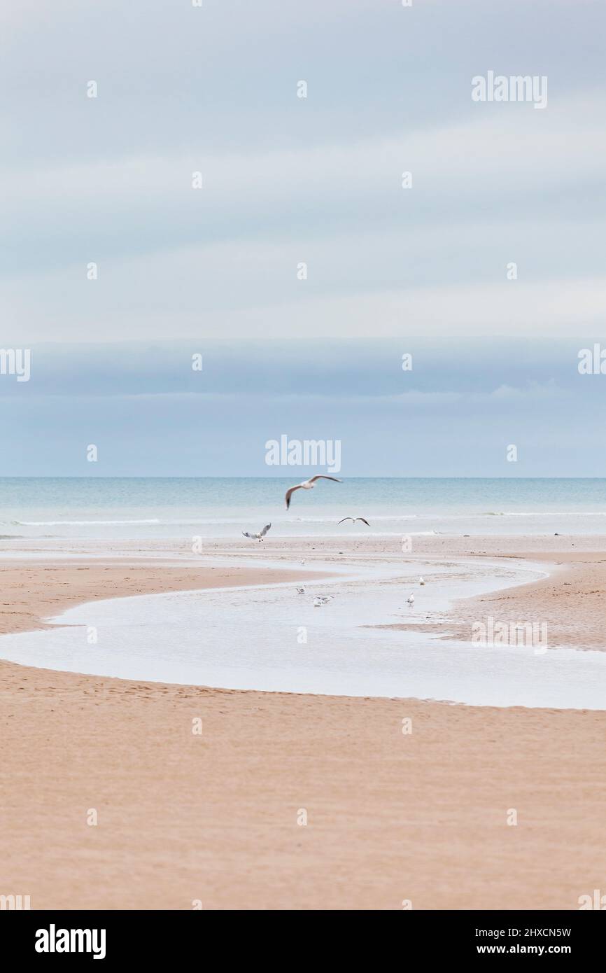 Nuages sur Omaha Beach à marée basse et mer calme Banque D'Images