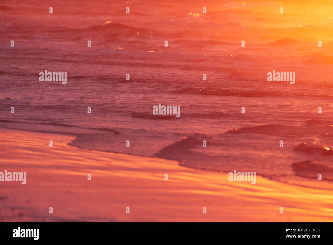 Europe, Danemark, Jutland du Nord. La brume au-dessus de la mer du Nord créée par un vent fort brille jaune dans la lumière du dernier soir. Banque D'Images