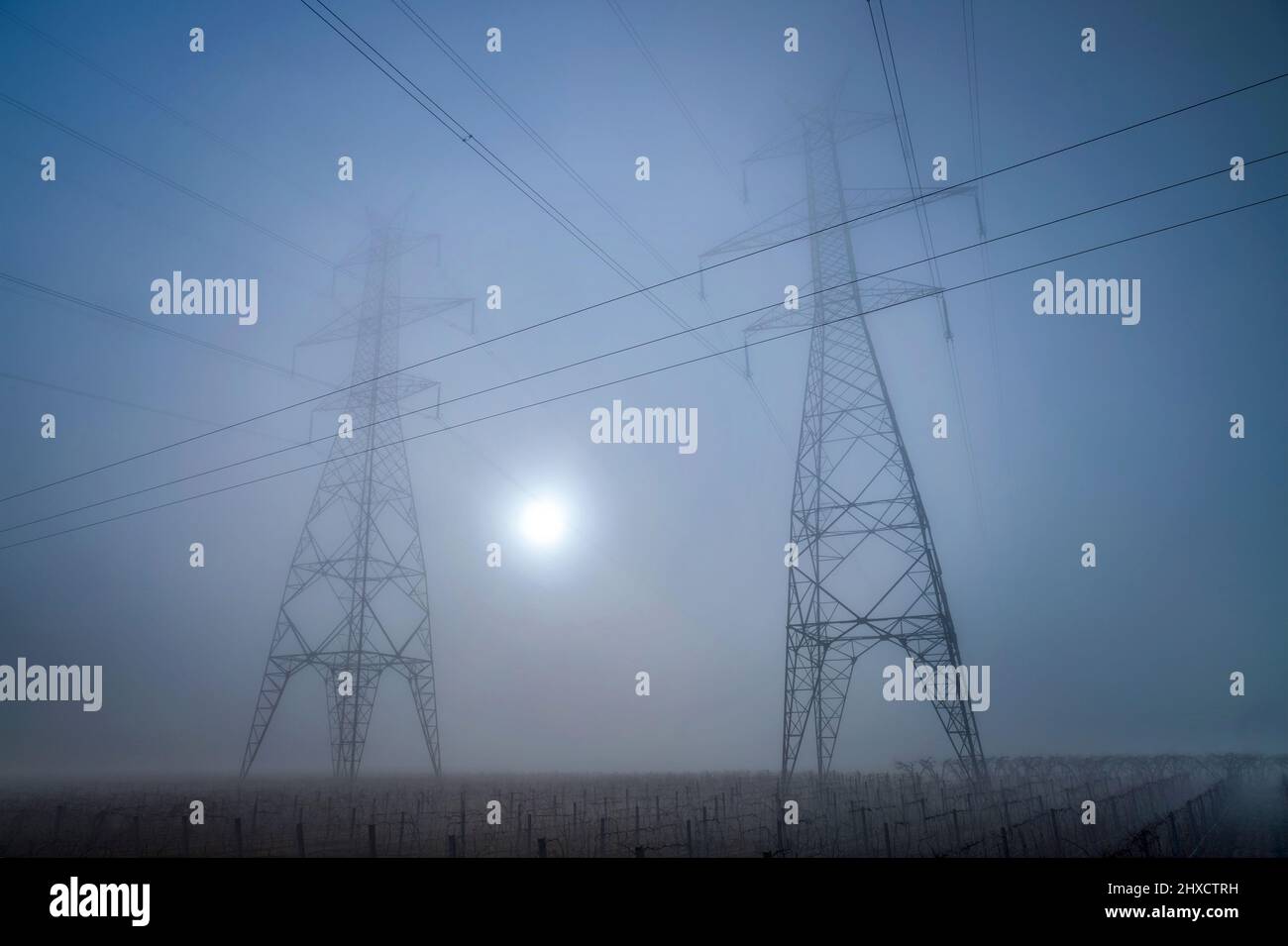 Pylônes électriques par temps brumeux, quelque part entre Tyrnavos et Amelonas, Larissa, Thessalie, Grèce. Banque D'Images