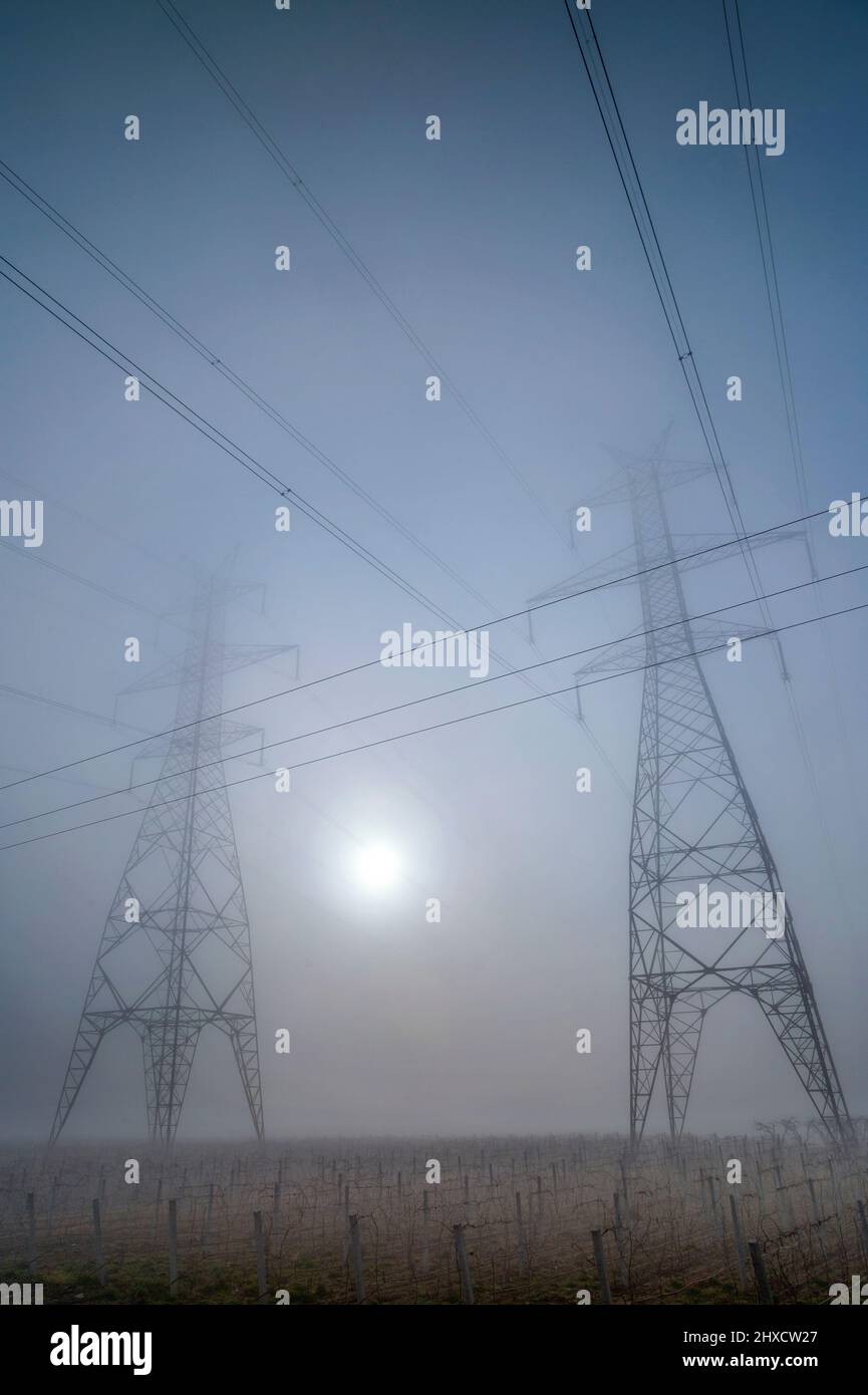Pylônes électriques par temps brumeux, quelque part entre Tyrnavos et Amelonas, Larissa, Thessalie, Grèce. Banque D'Images