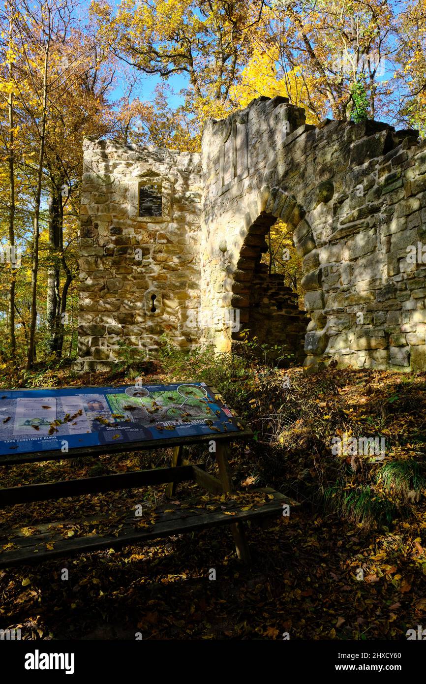 La ruine d'Altenburg dans le parc paysager de Bettenburg près de Hofheim i. UFR, parc naturel de Hassberge, Basse-Franconie, Bavière, Allemagne Banque D'Images