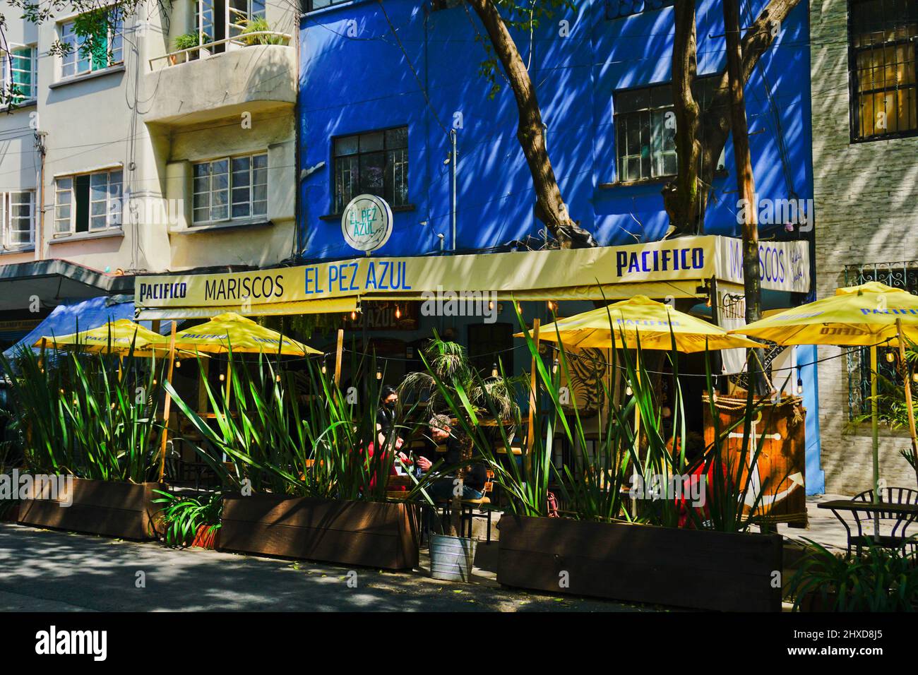 Restaurant de fruits de mer El Pez Azul, quartier Hipodromo, dans la région de Cuauhtemoc, Ciudad de Mexico, CDMX Banque D'Images