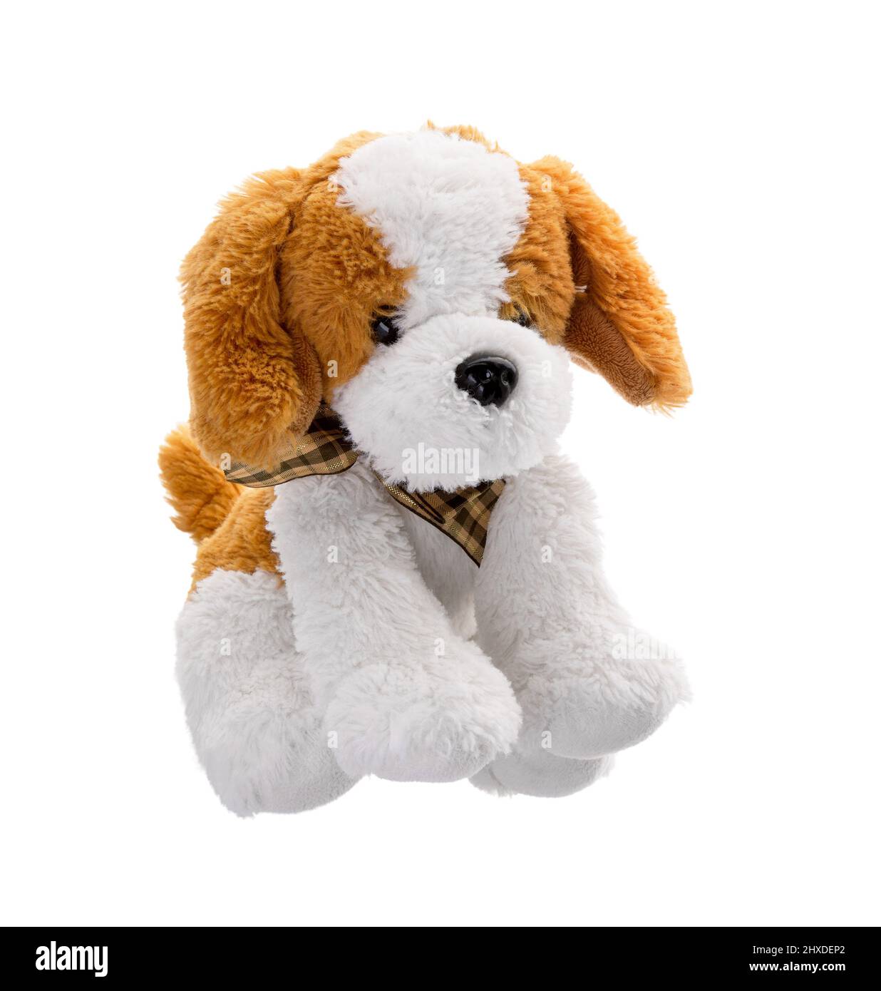 Jouet pour chien isolé sur fond blanc. Photo de jouet pour chiot. Banque D'Images