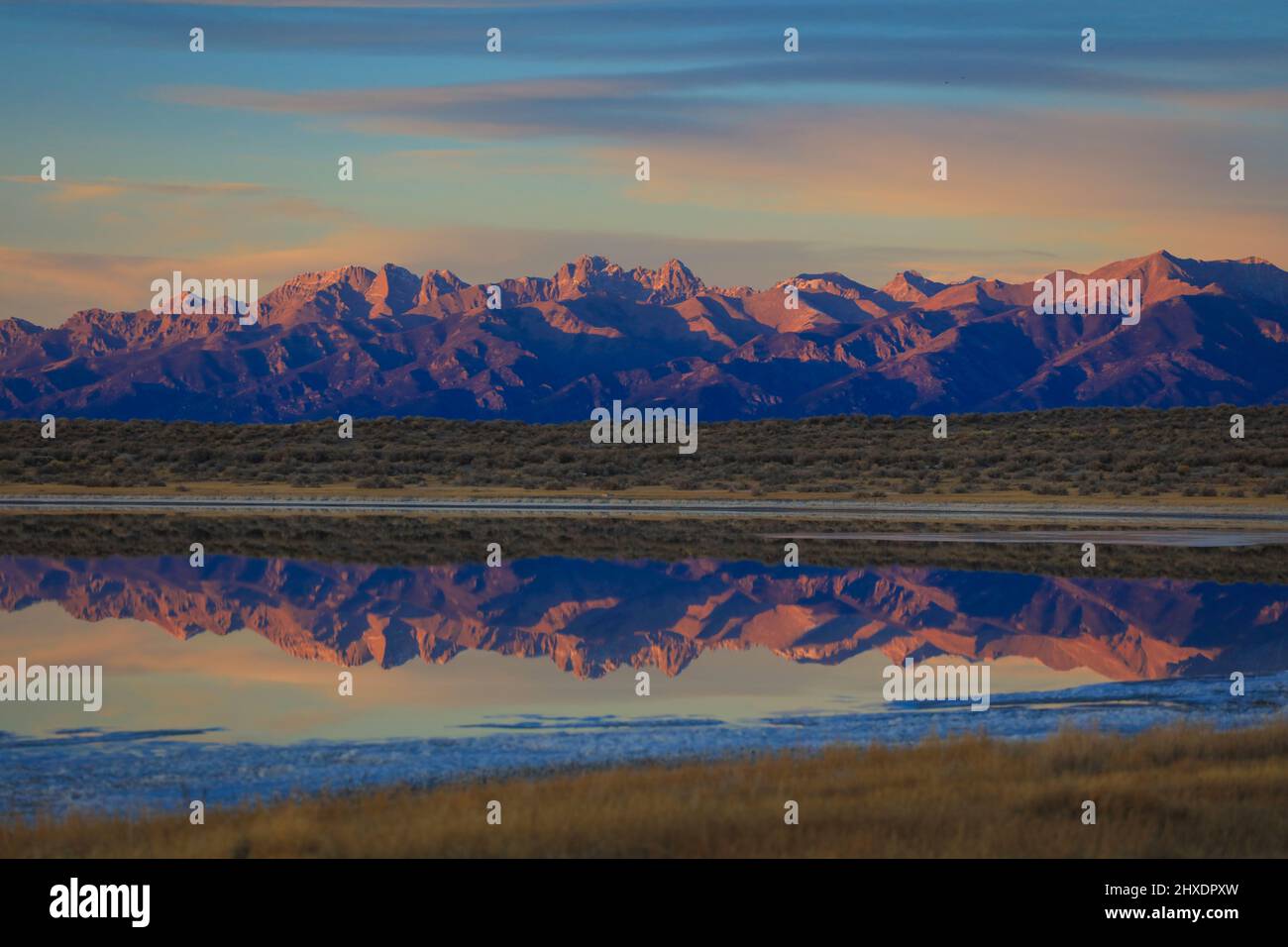 Les terres humides de Blanca dans la vallée de San Luis Banque D'Images