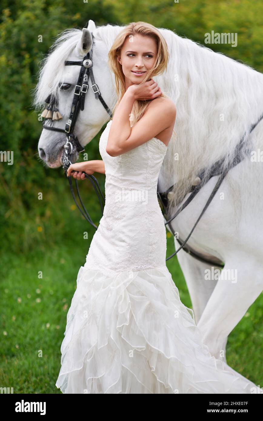 Elle est entrée dans son mariage à cheval. Une jeune mariée attrayante dehors avec son cheval. Banque D'Images