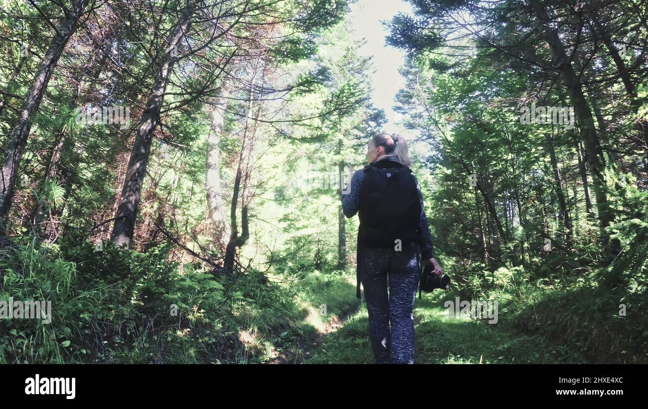 Meilleur photographie vue panoramique en forêt. Un caucasian woman shooting look magic nice. Prendre fille photo video appareil photo reflex sur mirrorless. Professio Banque D'Images