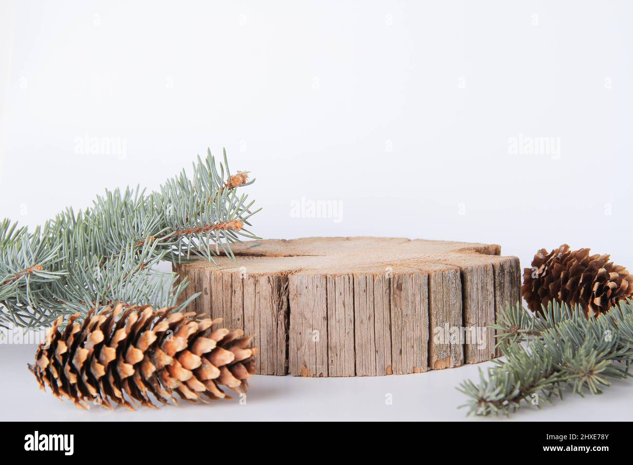 Support en bois pour les marchandises. Maquette debout. Carte du nouvel an pour la publicité. Modèle de publicité de souche d'arbre. Une tranche de bois et de cônes et de branches d'épinette. Banque D'Images