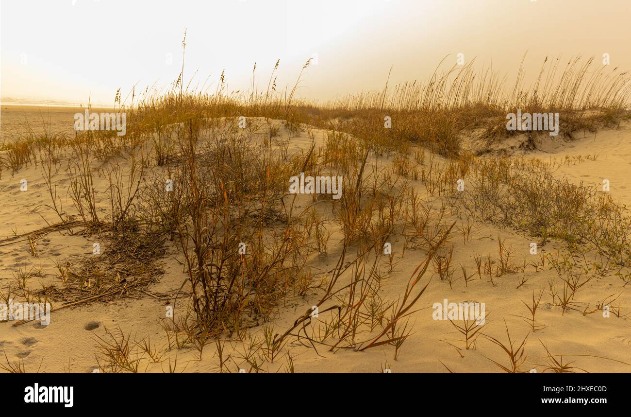 Foggy Morning Sky et Sand Dunes de Kiawah Beach, Kiawah Island, Caroline du Sud, États-Unis Banque D'Images