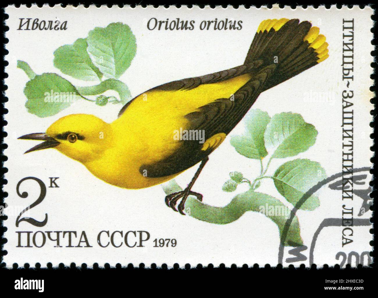 Timbre-poste de la Russie dans la série Birds publiée en 1979 Banque D'Images