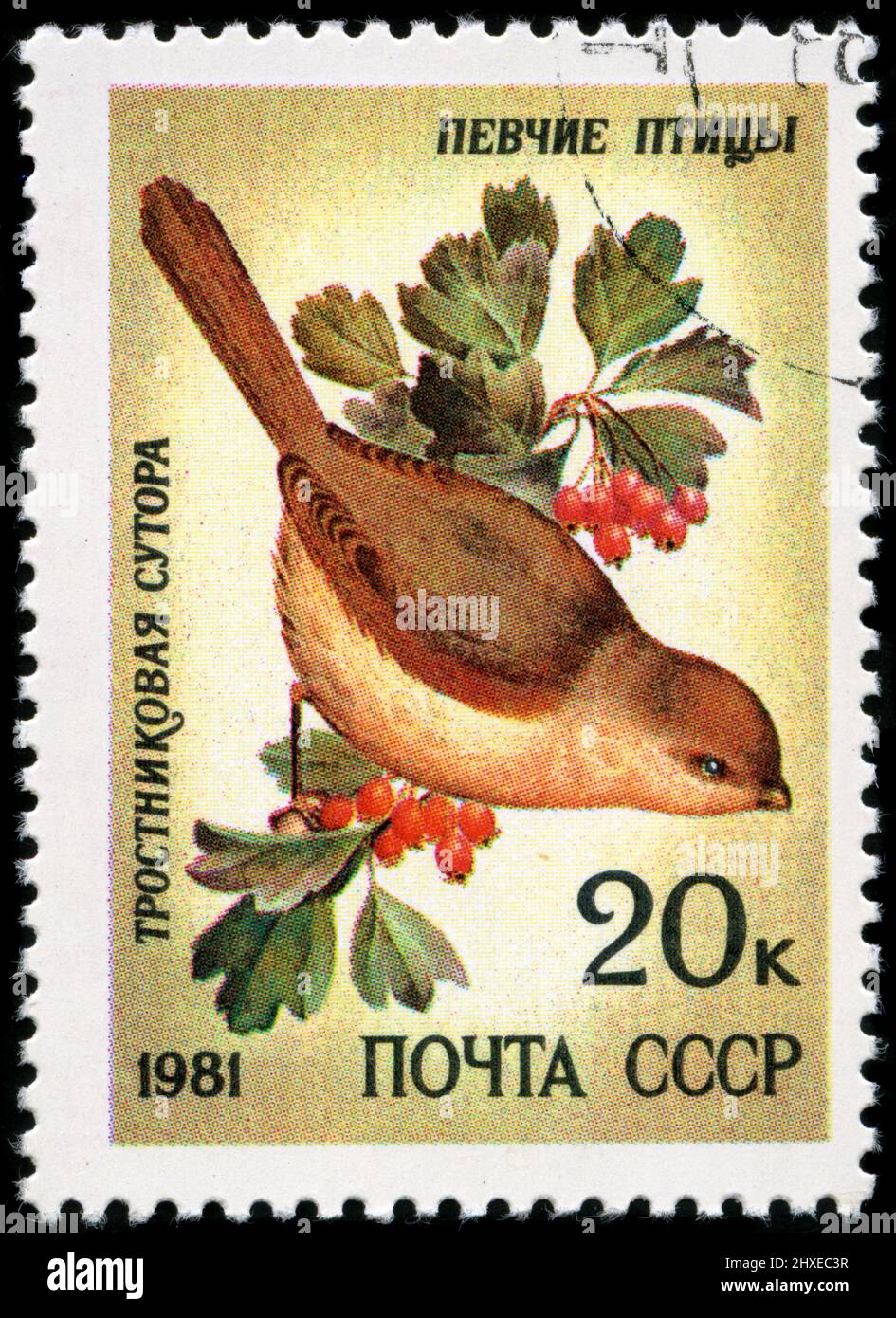 Timbre-poste de Russie dans la série Song Birds publiée en 1981 Banque D'Images
