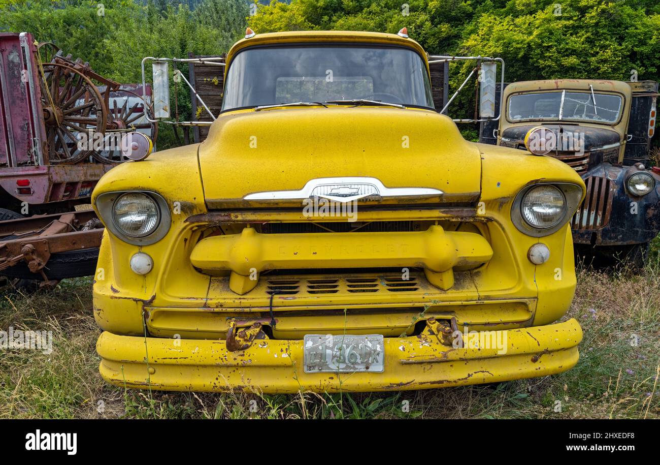 L'avant d'un camion jaune 8500 de Chevrolet 1956 dans un chantier naval de l'Idaho Banque D'Images