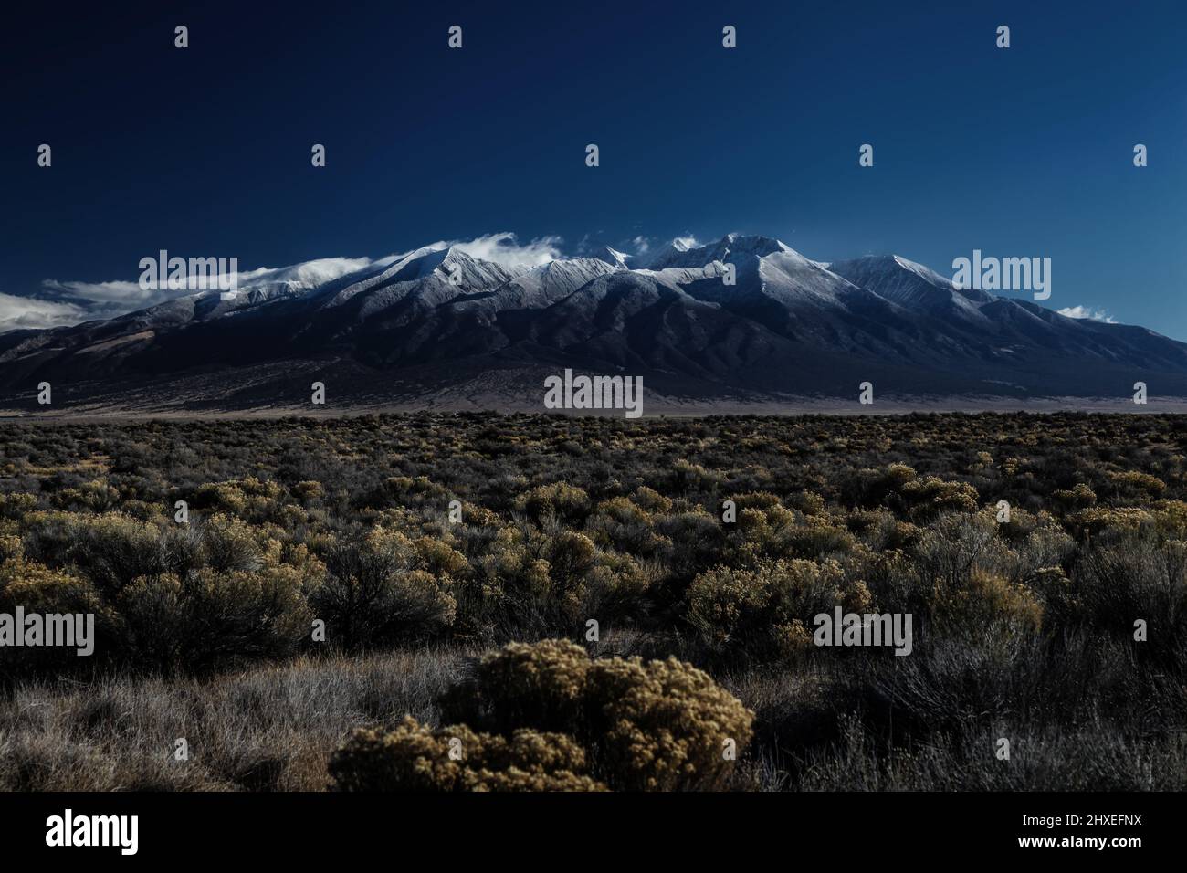 Les terres humides de Blanca dans la vallée de San Luis Banque D'Images